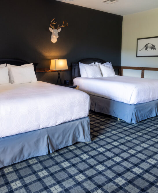 hotel room with two beds and patterned carpet