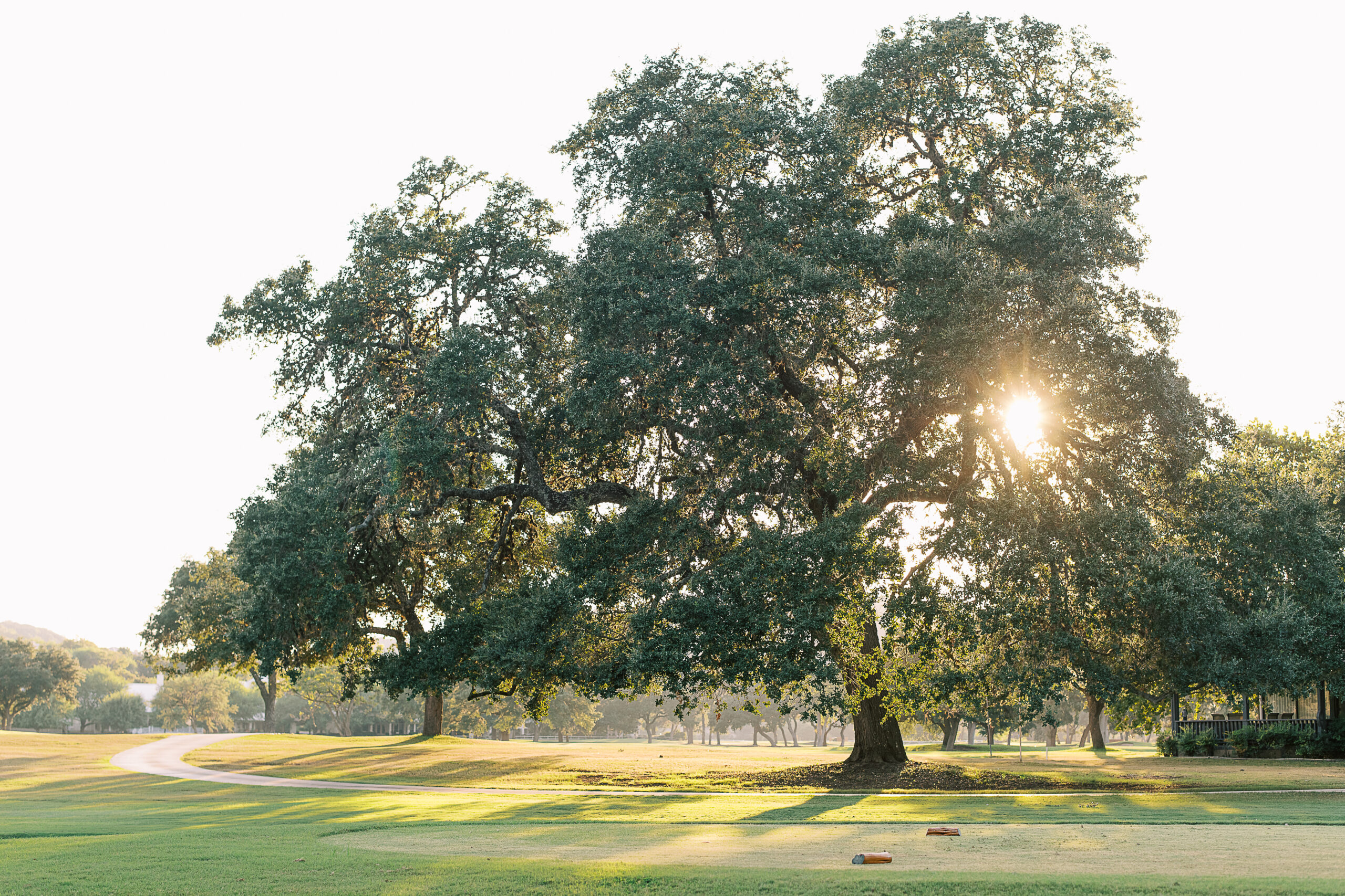 Spring Forward, and Stay a While – Stay 2 Nights & Save up to 18%!