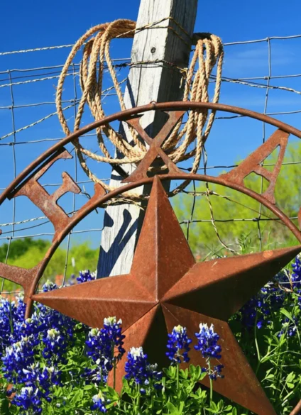 Lone Star Special