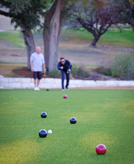 Horseshoes & Lawn Games