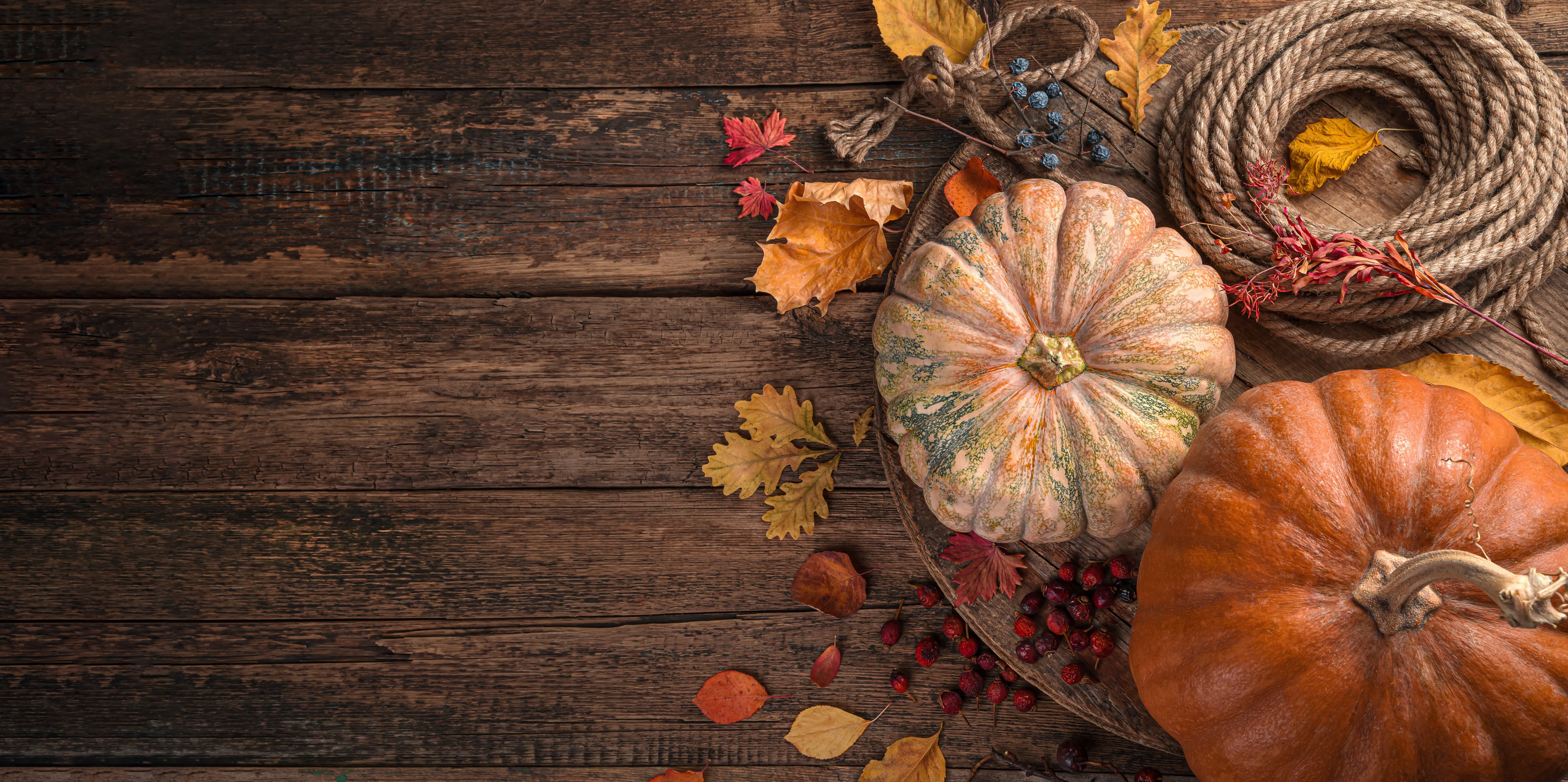 Thanksgiving & Holiday Escape