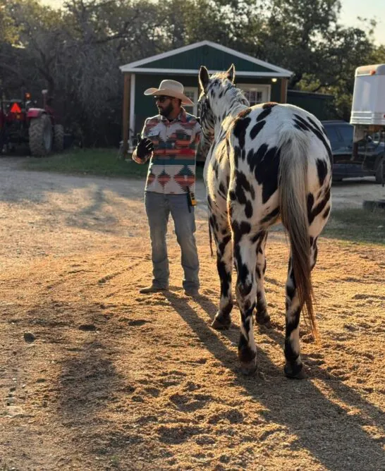 Horseback Riding